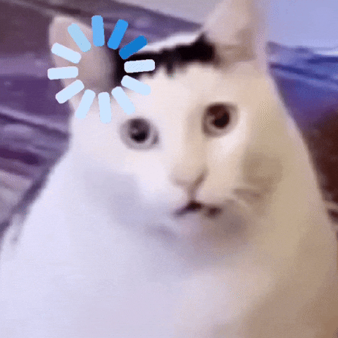 Waiting cat loading animation